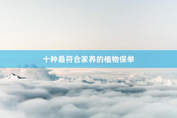 十种最符合家养的植物保举