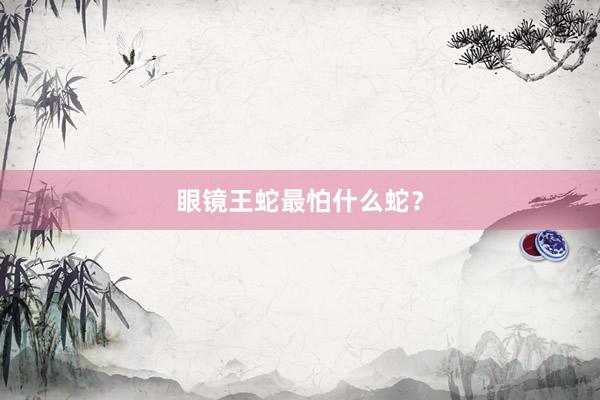 眼镜王蛇最怕什么蛇？