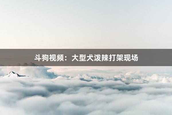 斗狗视频：大型犬泼辣打架现场