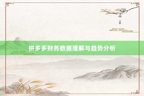 拼多多财务数据理解与趋势分析